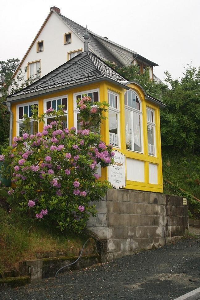 Pension Fuerstenhof Bad Elster Exteriör bild